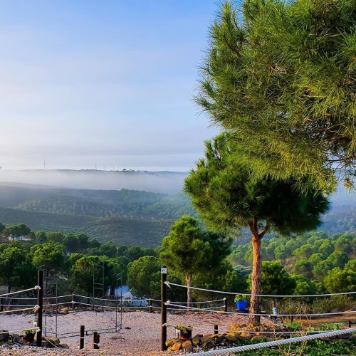 Morning Mist - Hilltop Park