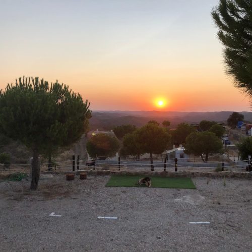 SHR sunset i