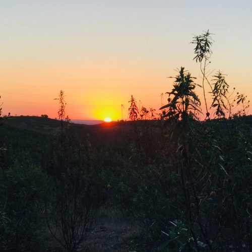 Sunrise